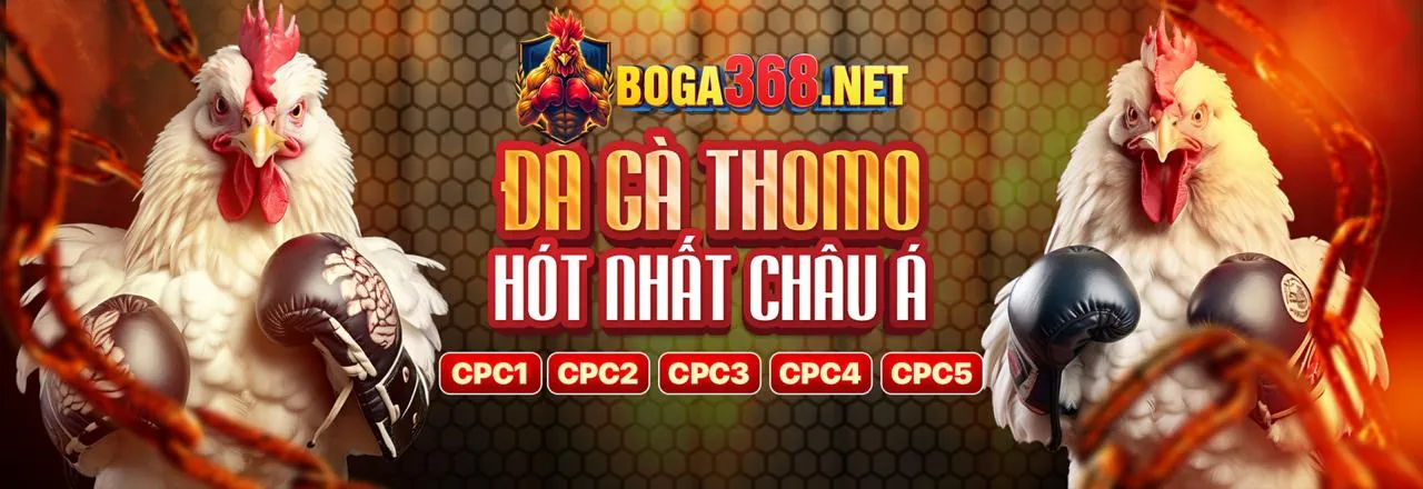 Sân đấu đá gà trực tuyến sôi động tại bongvip